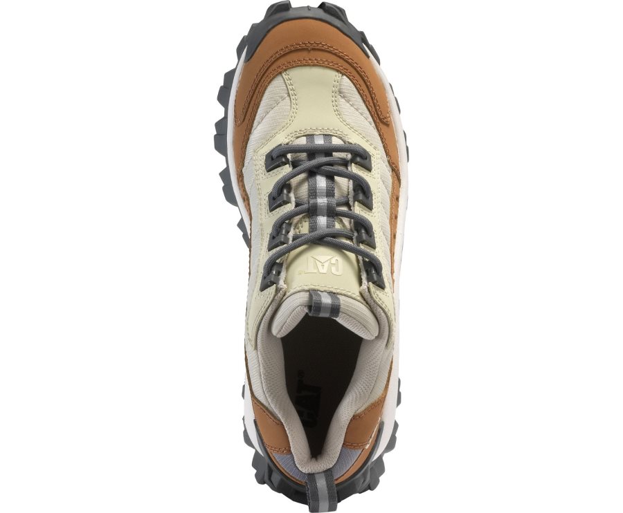 Caterpillar CAT Intruder Shoe Casual Obuv Damske Hnede Béžové | CAT-408SM