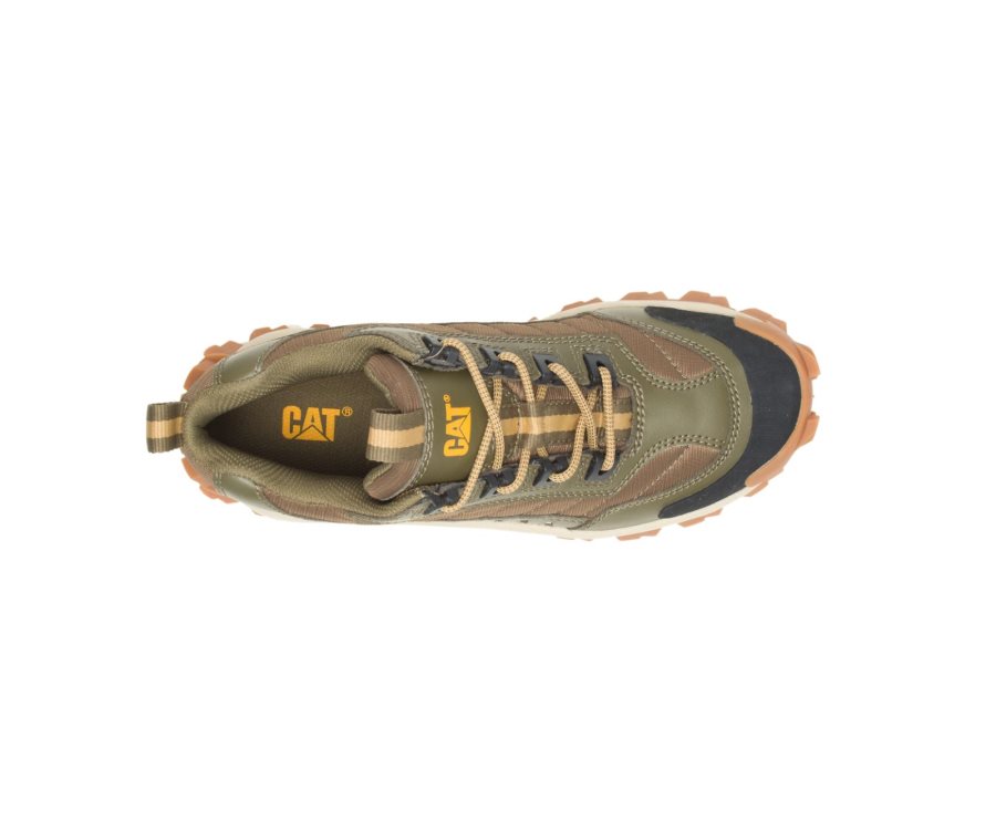 Caterpillar CAT Intruder Shoe Casual Obuv Panske Tmavo Olivovo Zelená Hnede | CAT-460BA